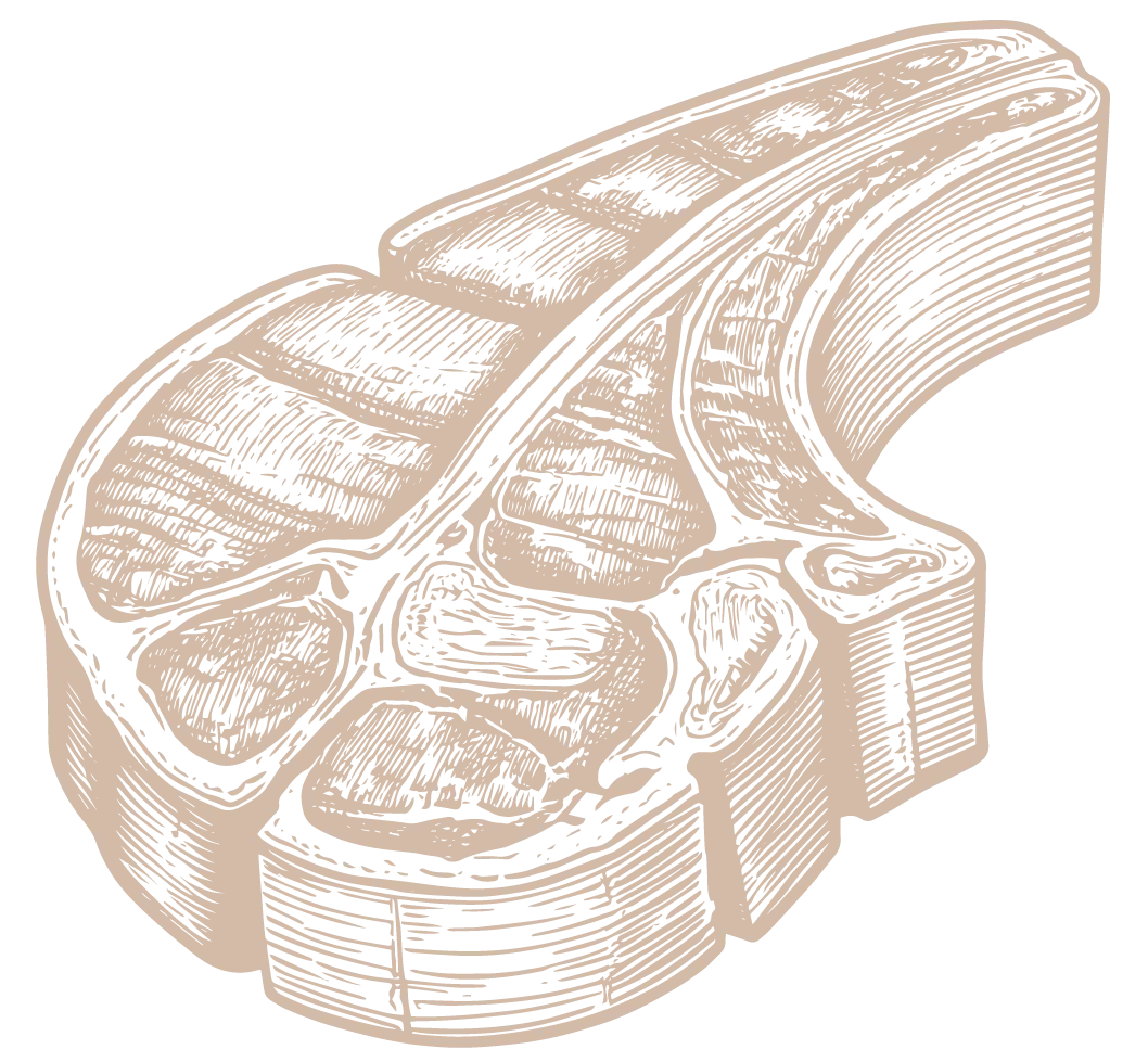 Les Charolaises de Manotte