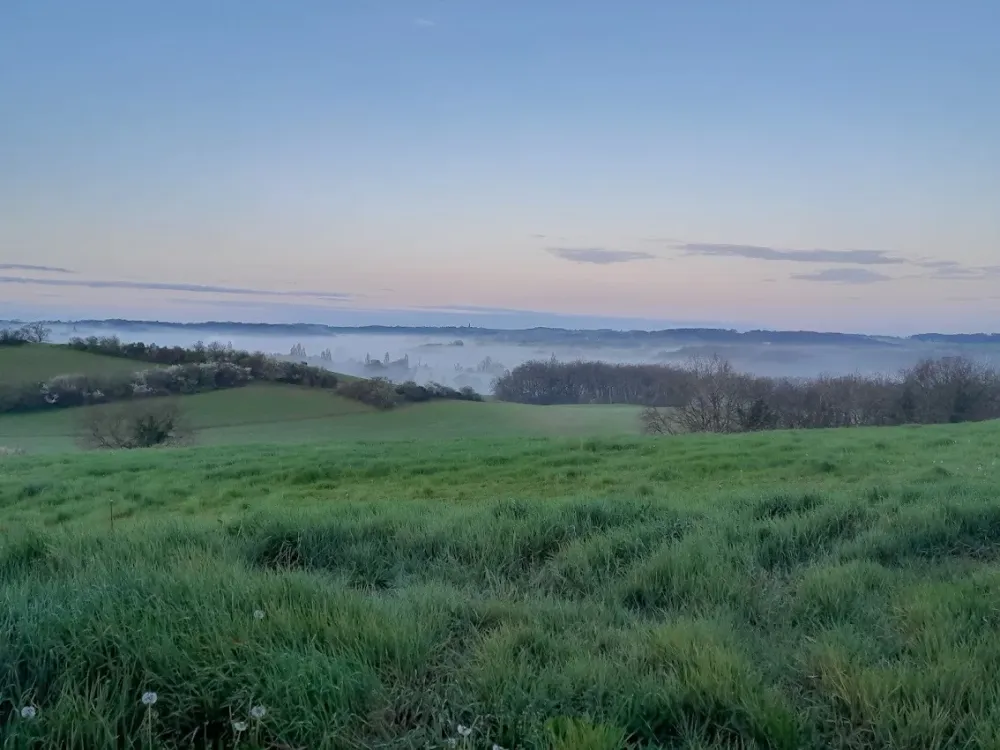 Les Charolaises de Manottes (3)