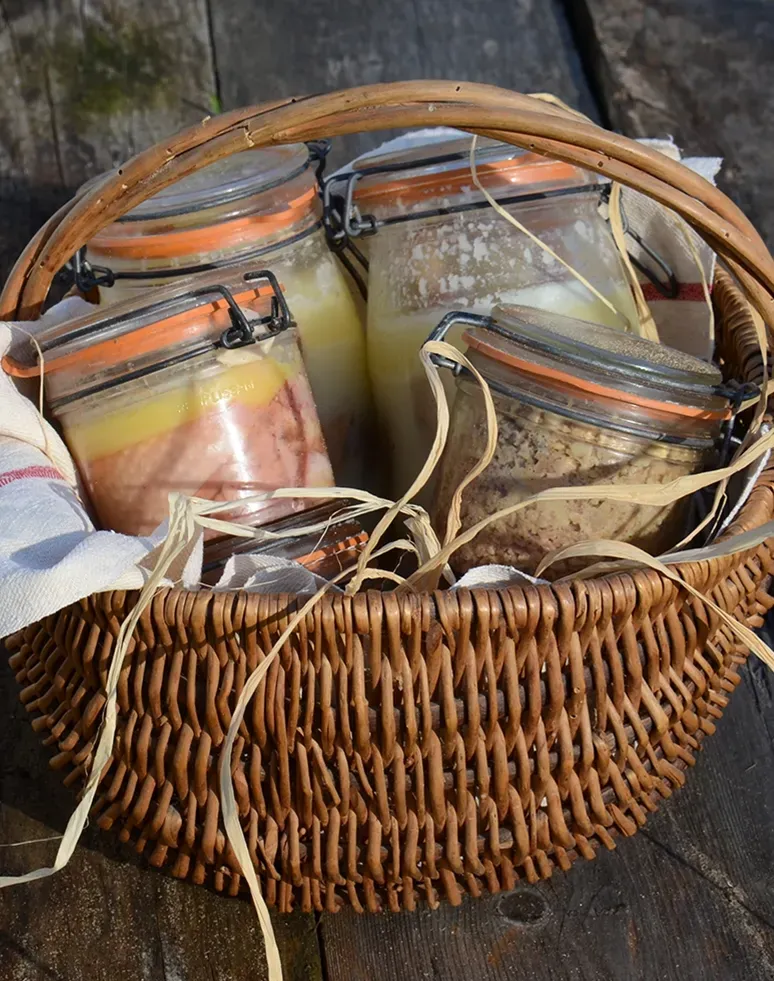 Les Charolaises de Manotte