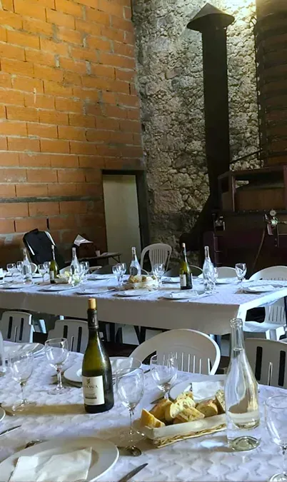 Les Charolaises de Manotte événemenwebp